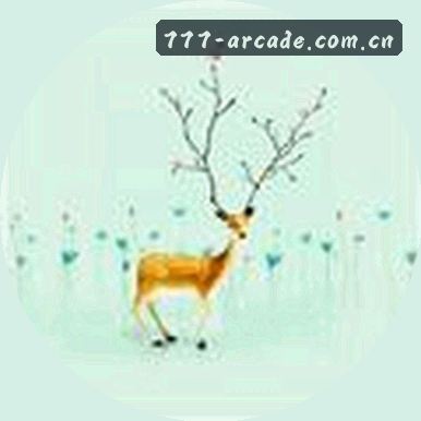 张磊
